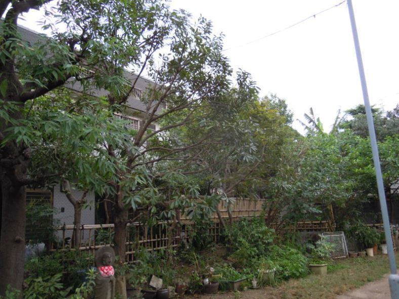 matebashi3_20250811103929257.jpg